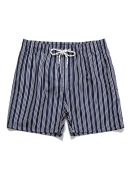 Striped Print Swim Shorts