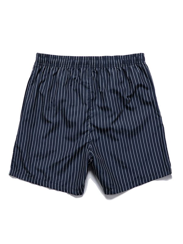 Striped Print Swim Shorts - Image 2