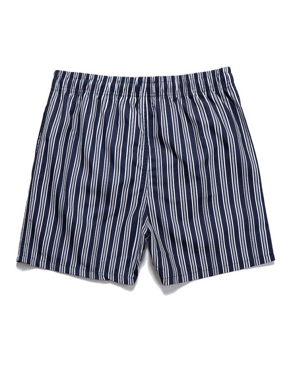 Striped Print Swim Shorts - Image 2