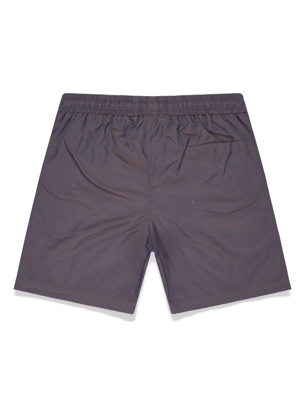 Stormy Iridescent Swim Shorts - Image 3