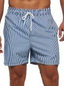 Stripe Print Swim Shorts