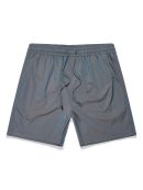 Stormy Iridescent Swim Shorts