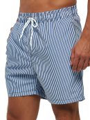 Stripe Print Swim Shorts